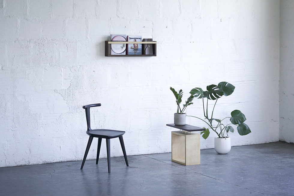 Thumbnail: Modern Magazine & Vinyl Wall Rack