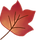 Red, purple, yellow oak Leaf.png