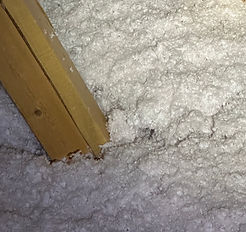 Burrow in insulation