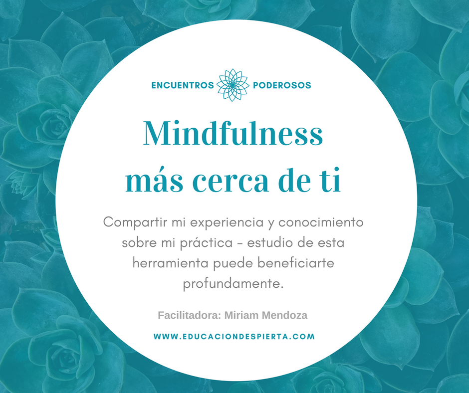 Este 2017 quiero dedicarlo a estar más en contacto contigo y a acercarte la propuesta de Educación Despierta y Mindfulness.