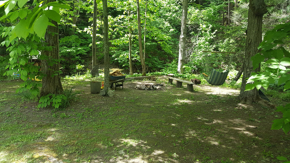 20160601_113104.jpg