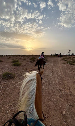 Horseback riding in Marrakech