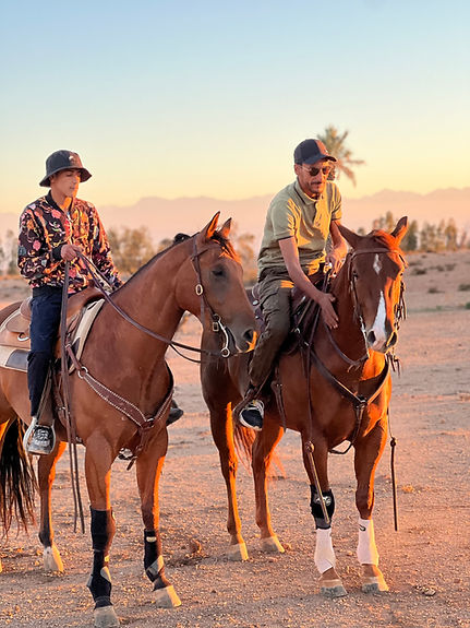 CHEVAL MARRAKECH