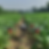 Drone.png