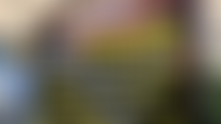 TECATE COMUNA - UN FESTIVAL PARA LOS AMANTES DE LA MÚSICA