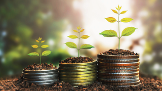 Managing your Working Capital through Accounts Receivables Financing