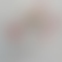 安心・安全のご提供