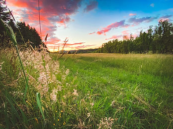 photo of the fields surrounding the farm at sunset