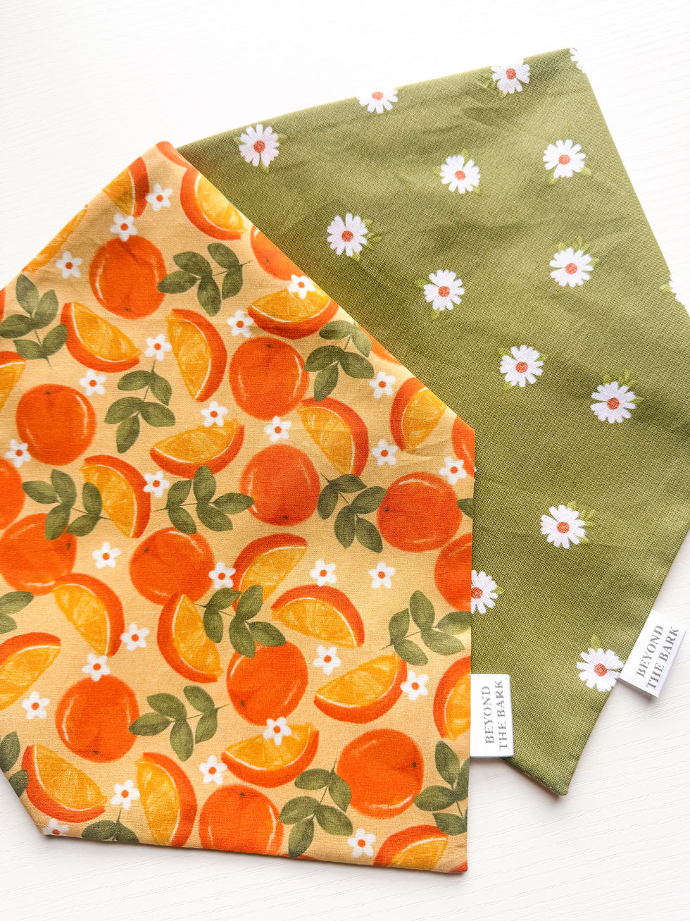 Thumbnail: Citrus Daisy