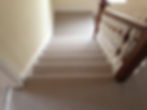 carpet.jpeg