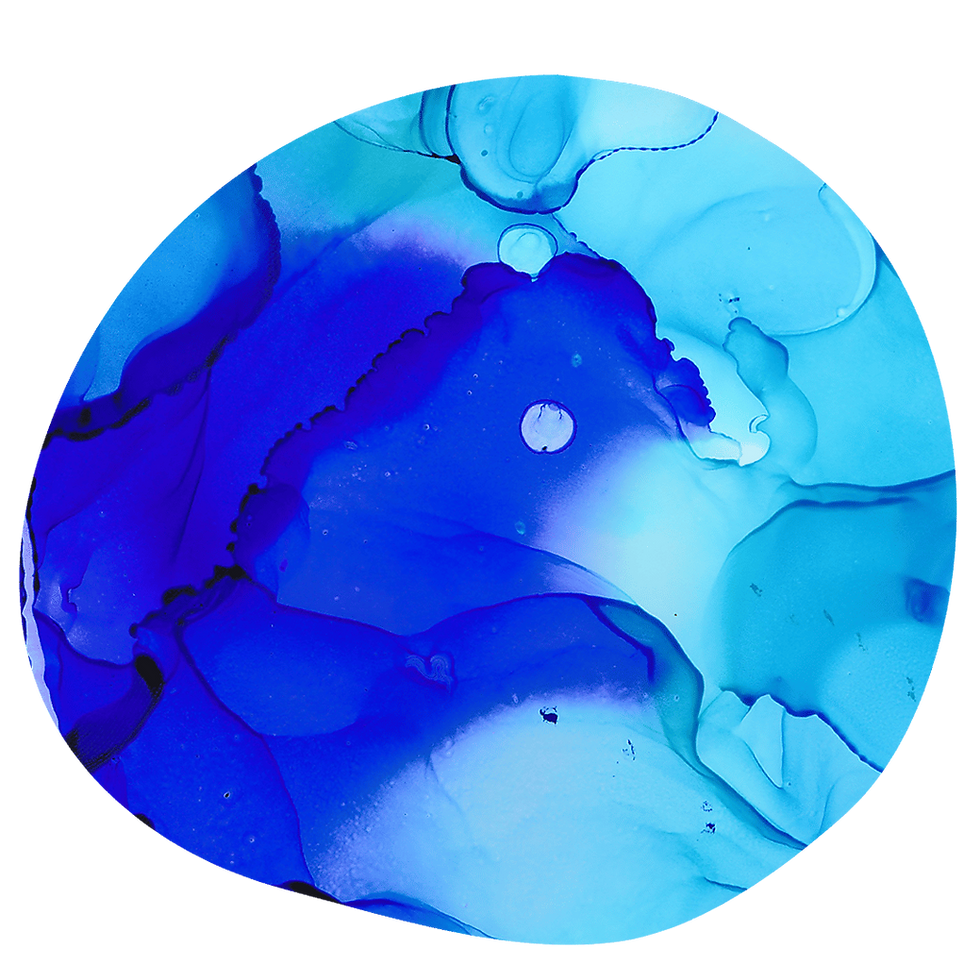 13.png