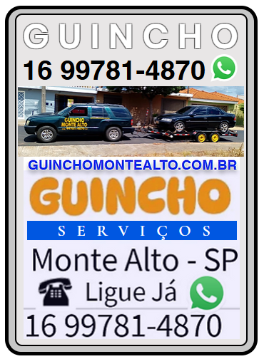 Serviços de Guincho em Monte Alto e região 16 99781-4870 Andre de Segunda a Domingo