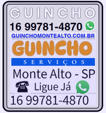Serviços de Guincho em Monte Alto e região Ligue 16 99781-4870 Andre de Segunda a Domingo