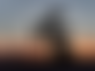 Finanças Petróleo opera em alta, perto de US$ 100, apesar de prorrogação da trégua