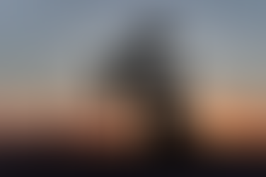 Finanças Petróleo opera em alta, perto de US$ 100, apesar de prorrogação da trégua