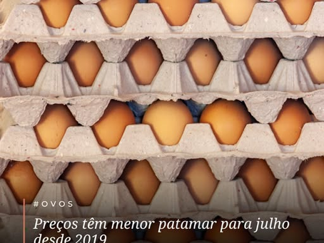 #OVOS – A intensa desvalorização dos ovos nas últimas semanas levou a média parcial deste mês, até o dia 29/7 ao menor patamar real para um mês de julho desde 2019  Nas regiões acompanhadas pelo Cepea