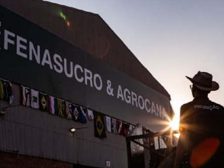 Agronegócio Fenasucro & Agrocana reúne inovação, negócios e tecnologia para a bioenergia Feira reúne tecnologia, sustentabilidade, networking e oportunidades para impulsionar o setor sucroenergético