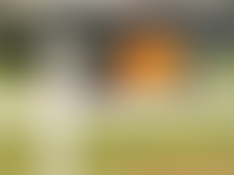 INCรNDIO NA ROD. DOS BANDEIRANTES EM CAMPINAS Caminhรฃo-tanque pegou fogo no sentido capital SP