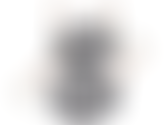 Magnetron Suporte e Escovas