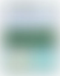 Dia 15 Dezembro Envie para Jornal WhatsApp 11 99923-2580 Fatos com vídeos e fotos para redação