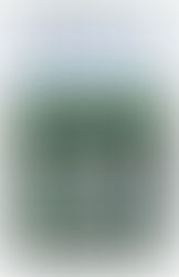 Dia 18 Dezembro Envie para Jornal WhatsApp 11 99923-2580 Fatos com vídeos e fotos para redação