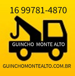 Serviços de Guincho em Monte Alto e região 16 99781-4870 Andre de Segunda a Domingo