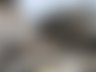 A Rússia anunciou hoje ter intercetado 251 drones ucranianos durante a noite, num dos maiores ataques de Kiev em três anos e meio de conflito, particularmente intenso na região do mar Negro.