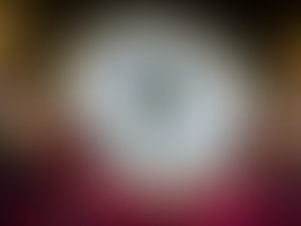 Barretos - SP Festa do Peão