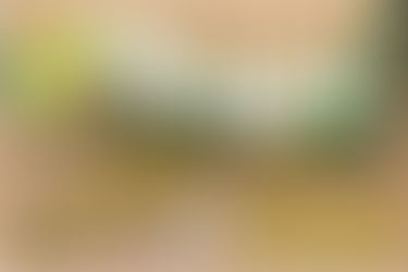 41ª Festa da Soja de São Joaquim da Barra - SP Dia 29 de Maio a 03 de Junho de 2022