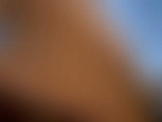 Fachadas Ventiladas em Edifรญcios: A Revoluรงรฃo na ArquiteturaUma Abordagem Sustentรกvel