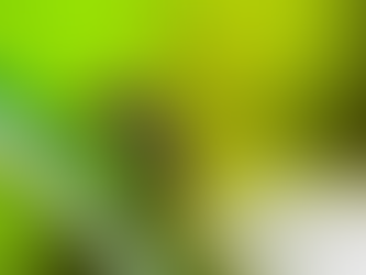 Saúde Brasil tem quase mil mortes por dengue em investigação Entre as vítimas, 55,5% são mulheres e 44,5% homens - Brasil Jornal