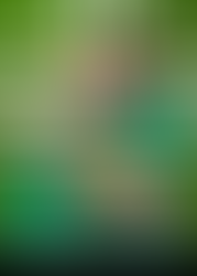 Matheus Hang hoje comemora 26 anos. o caçula de Luciano Hang 01/03/2000 Sempre muito dedicado, ama trabalhar na nossa empresa, sempre um dos primeiros a chegar e um dos últimos a sair.