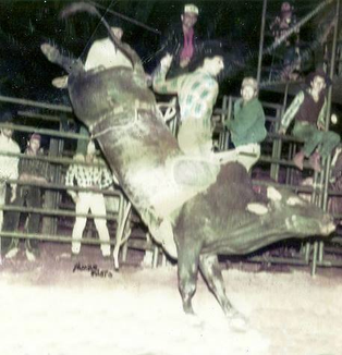 De 3 a 7 de junho acontece o 34º Rodeio Crioulo Nacional e o 1º Rodeio Internacional de Itajaí, no Parque do Agricultor. (@ctgindependentesdaquerencia)Serão dias de muita cultura, tradição gaúcha, p