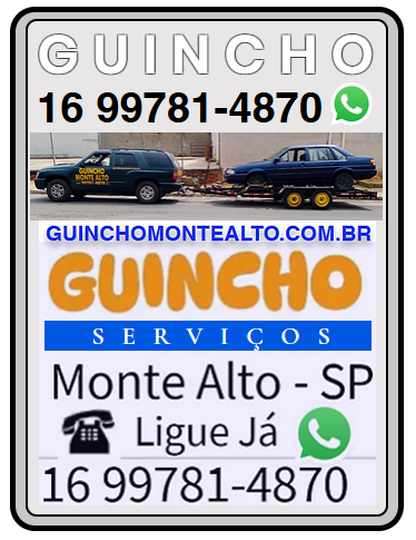 Serviços de Guincho em Monte Alto e região 16 99781-4870 Andre de Segunda a Domingo