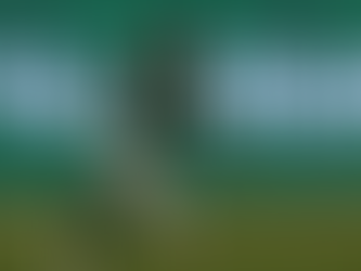 Esportes Fifa divulga tabela da primeira fase do Mundial de Clubes de 2025 Palmeiras é o primeiro brasileiro a estrear na competição Agência Brasil Publicado em 07/12/2024 - 17:30 Rio de Janeiro - RJ