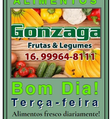 Distribuidora Gonzaga Alimentos Monte Alto - SP entregamos no seu comércio local sempre!
