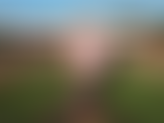 Barretos - SP Festa do Peão