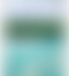 Dia 17 Dezembro Envie para Jornal WhatsApp 11 99923-2580 Fatos com vídeos e fotos para redação