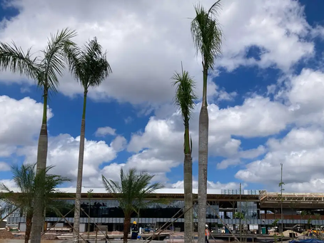 Meio Ambiente Obras em Belém, sede da COP30, estão dentro do cronograma Encontro será realizado em novembro, em Belém