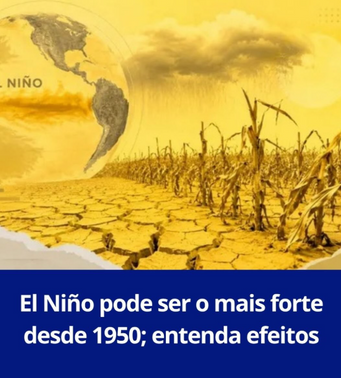 El Niño pode ser o mais forte desde 1950; entenda efeitos no agro efeitos do El Niño não serão uniformes no país, e também devem ser acompanhados no mercado global