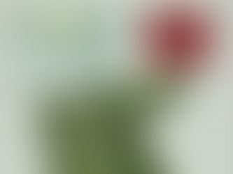 O Colinas do Campestre jรก estรก pronto para construir e dar realidade ao seu sonho. Construir a casa