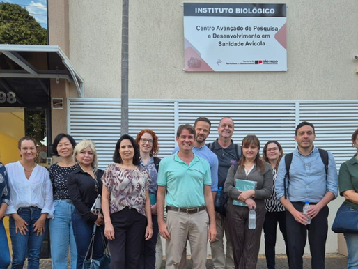 Grupo esteve em Laboratรณrio credenciado em Descalvado - SP SFA-SP | Missรฃo do Reino Unido destaca transparรชncia do Brasil em relaรงรฃo ao controle da gripe aviรกria