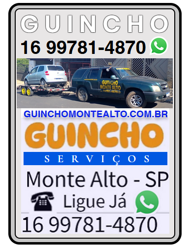Serviços de Guincho em Monte Alto e região 16 99781-4870 Andre de Segunda a Domingo