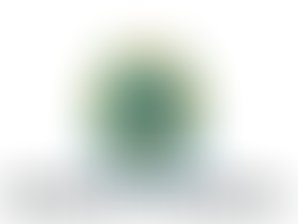 Ordem do Dia Eletrônica Em: 17/12/2024 (Terça-feira) Atividade Legislativa SENADO FEDERAL