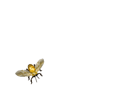 5922a2_4c1b7981ccd94474905dcba681fb4792~mv2.gif