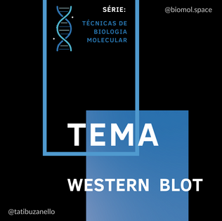 Técnicas de Biologia Molecular: Western Blot