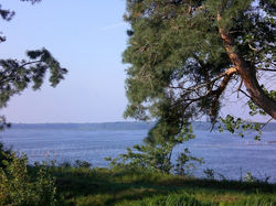 Blick vom Grundstück aus