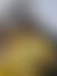 Guarulhos receberá último ato de campanha de Flávio Bolsonaro em São Paulo