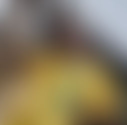 Guarulhos receberá último ato de campanha de Flávio Bolsonaro em São Paulo