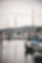 anastase-maragos-tuguKla0seM-unsplash (1).jpg